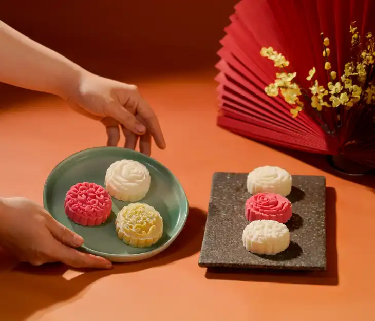 Hai Wang Snow Mooncake